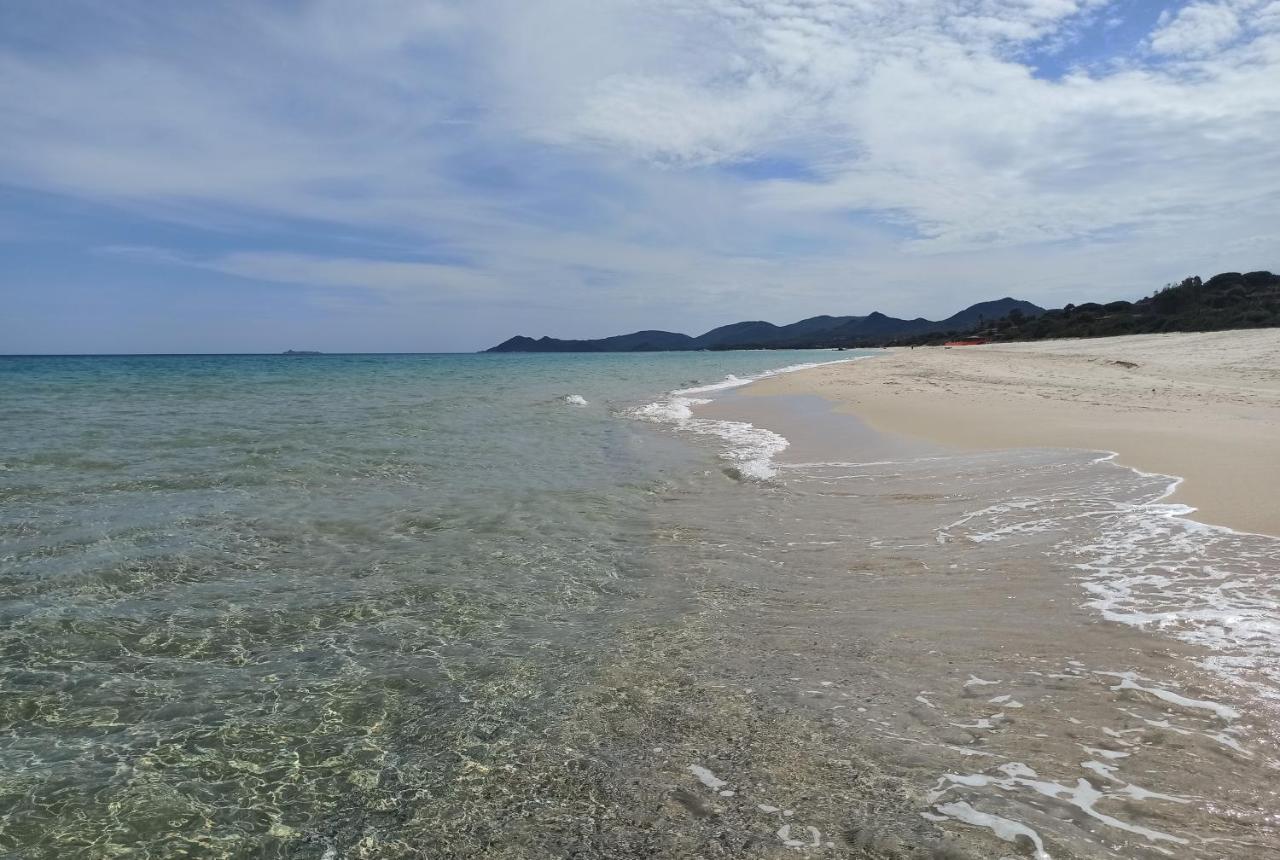 Casa Perla Rei - 50 Meters From The Beach 哥斯达雷 外观 照片