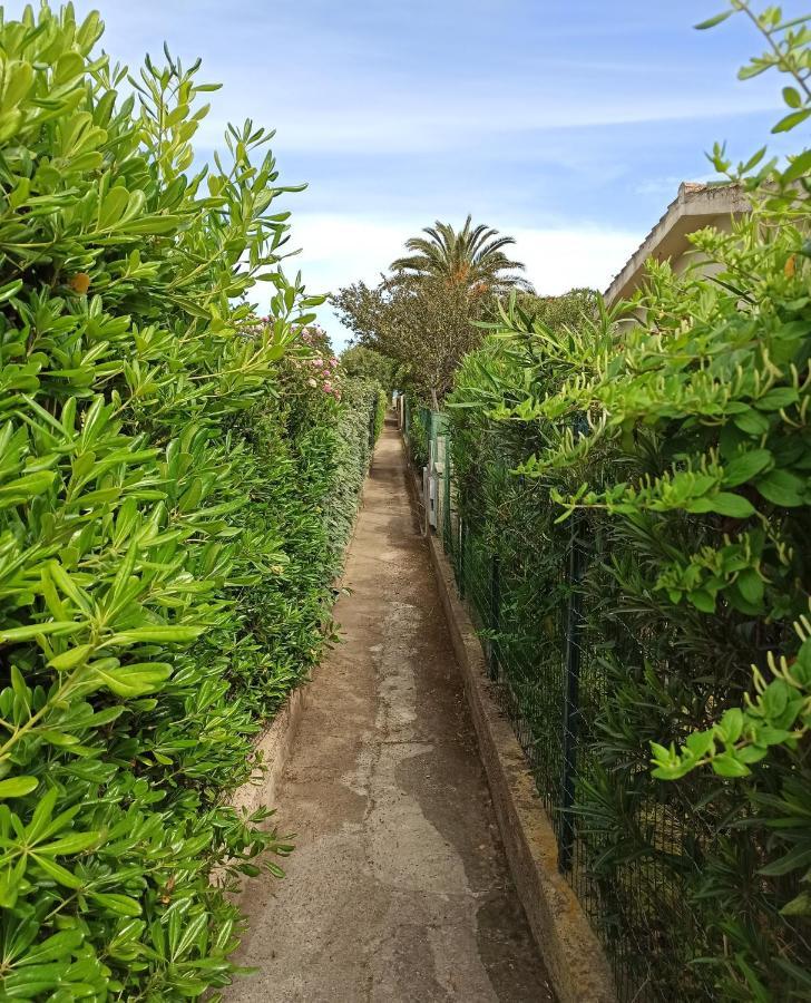 Casa Perla Rei - 50 Meters From The Beach 哥斯达雷 外观 照片