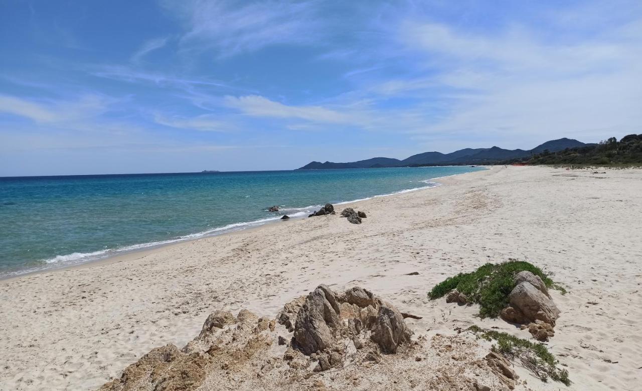 Casa Perla Rei - 50 Meters From The Beach 哥斯达雷 外观 照片