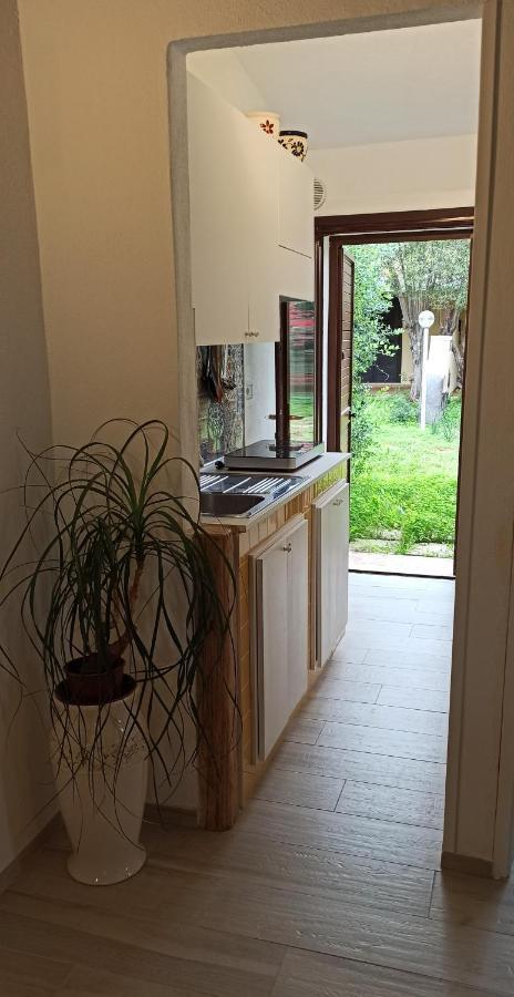 Casa Perla Rei - 50 Meters From The Beach 哥斯达雷 外观 照片