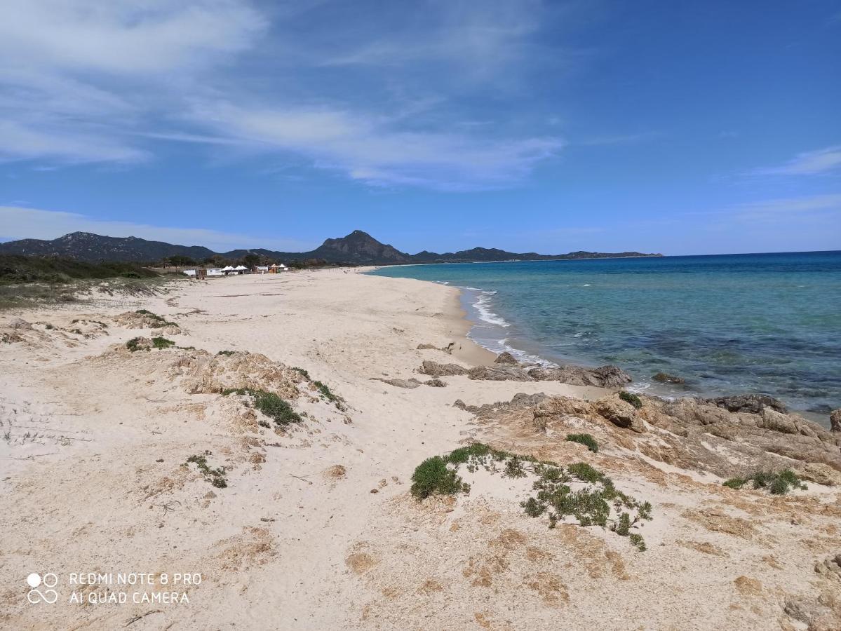Casa Perla Rei - 50 Meters From The Beach 哥斯达雷 外观 照片