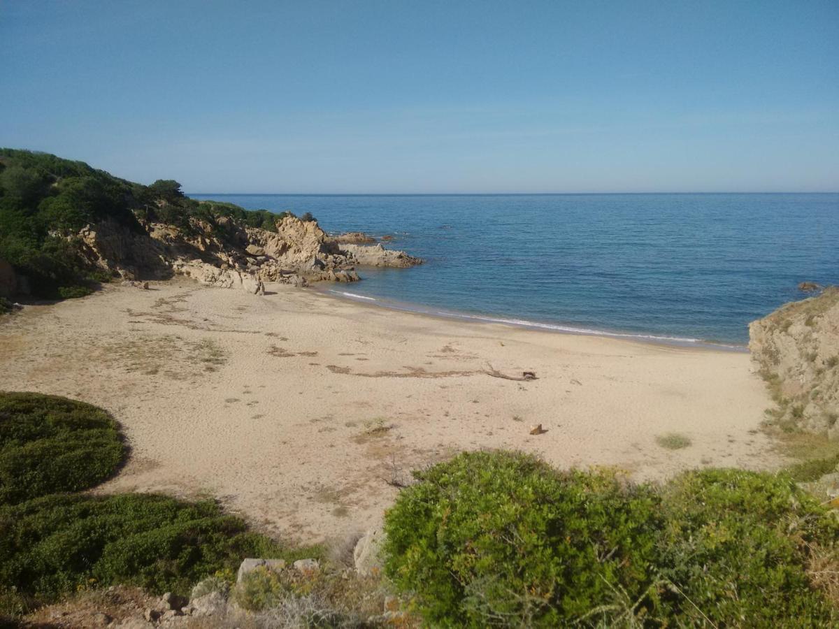 Casa Perla Rei - 50 Meters From The Beach 哥斯达雷 外观 照片