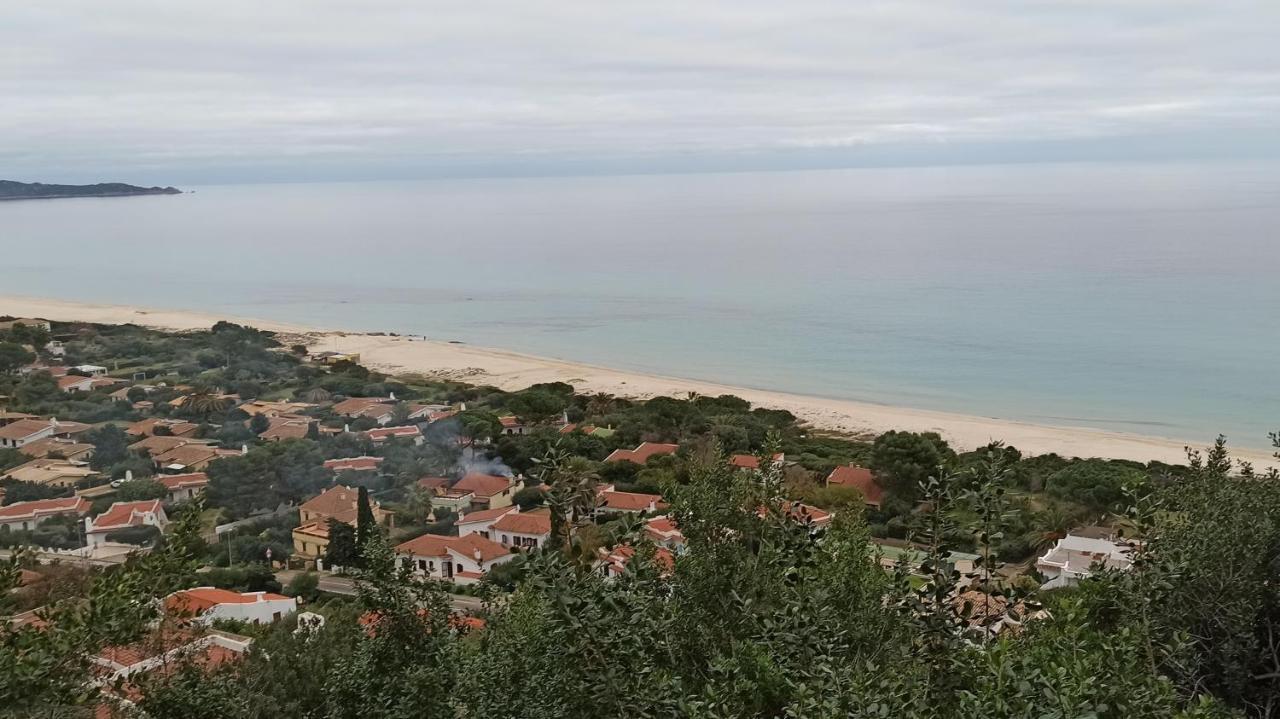 Casa Perla Rei - 50 Meters From The Beach 哥斯达雷 外观 照片