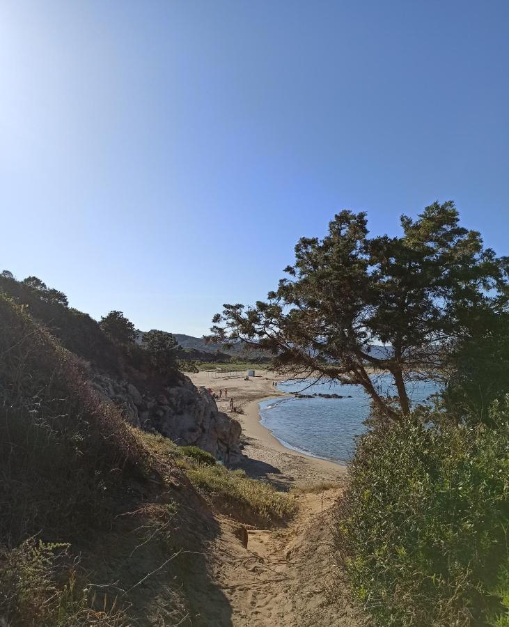 Casa Perla Rei - 50 Meters From The Beach 哥斯达雷 外观 照片