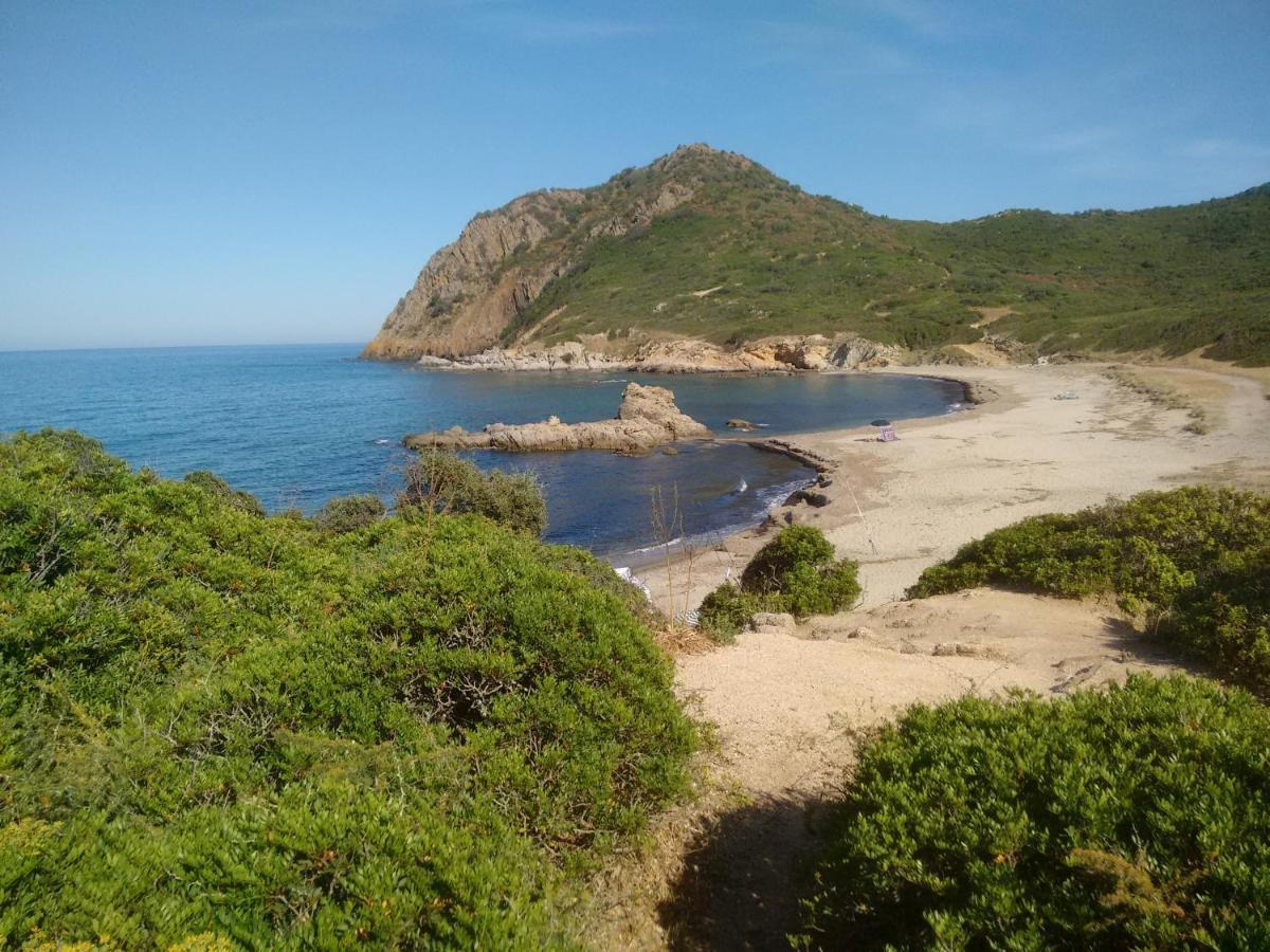 Casa Perla Rei - 50 Meters From The Beach 哥斯达雷 外观 照片