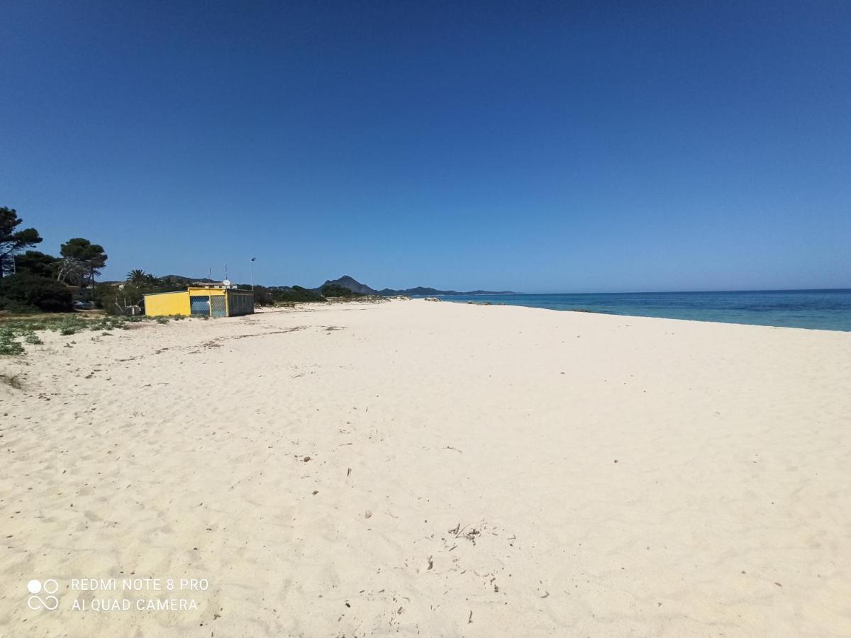 Casa Perla Rei - 50 Meters From The Beach 哥斯达雷 外观 照片